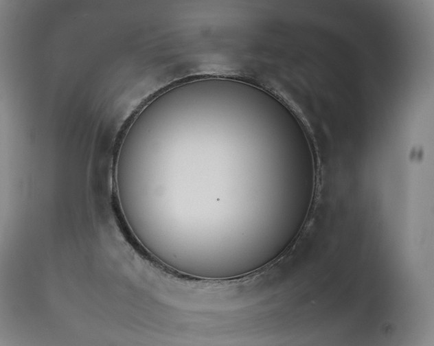 X0000111230011200907091346