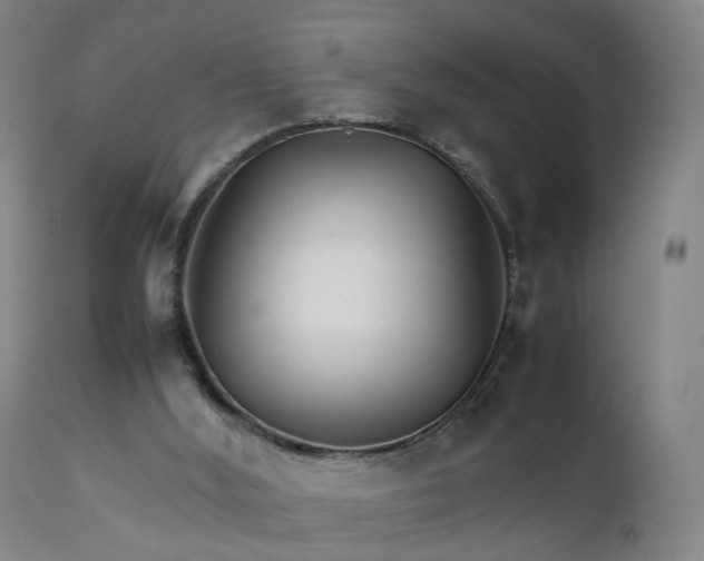 X0000111230012200907091346