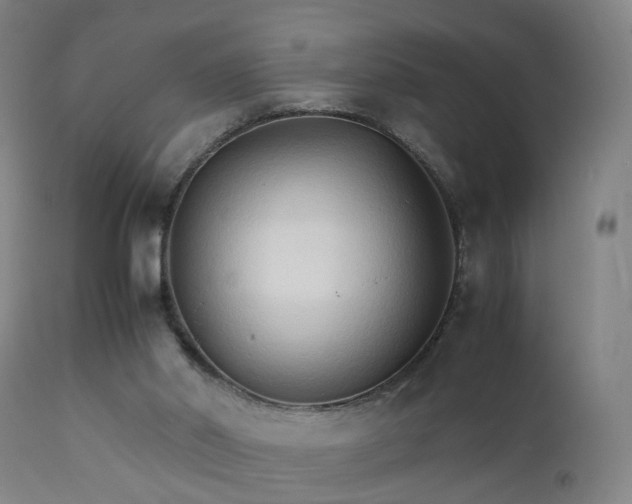 X0000111230014200907091346