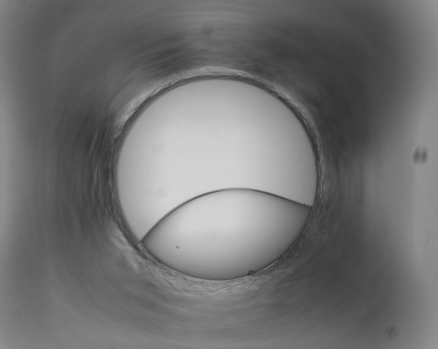 X0000111230015200907091346