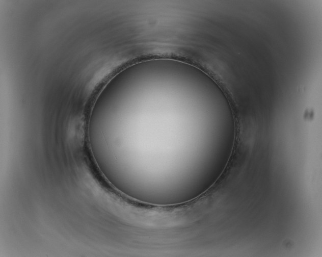 X0000111230016200907091346