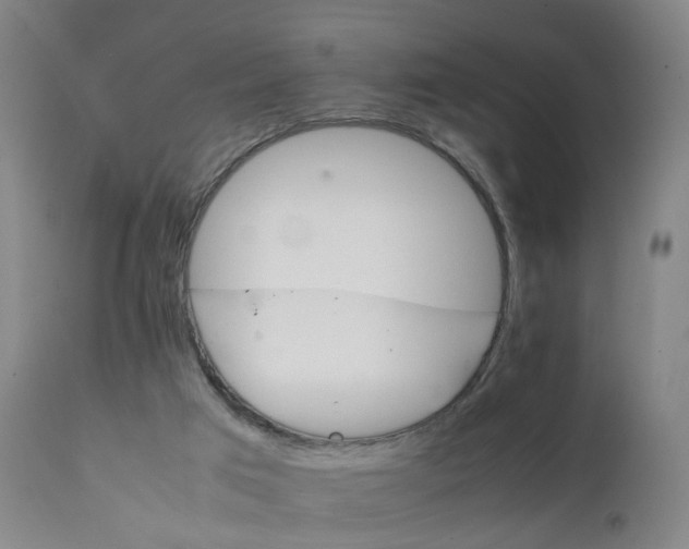 X0000111230017200907091346