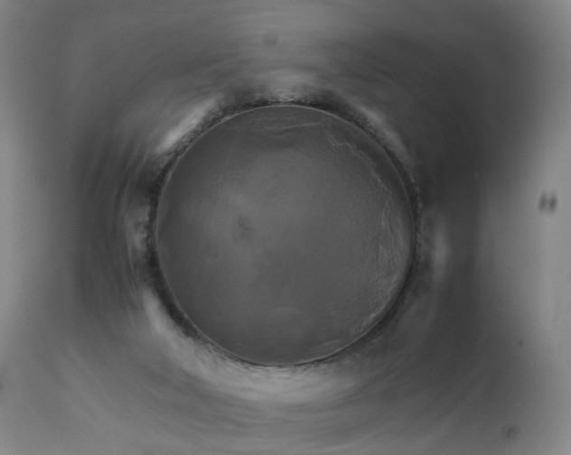 X0000111230018200907091346