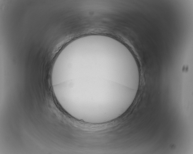 X0000111230019200907091346