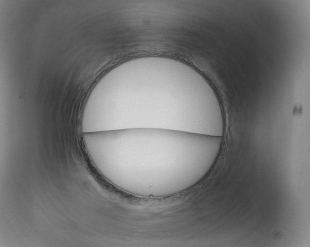 X0000111230021200907091346