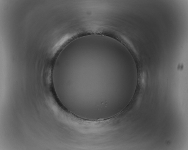 X0000111230023200907091346