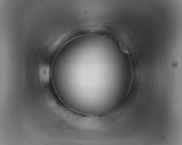X0000111230024200907091346