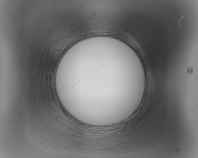 X0000111230025200907091346