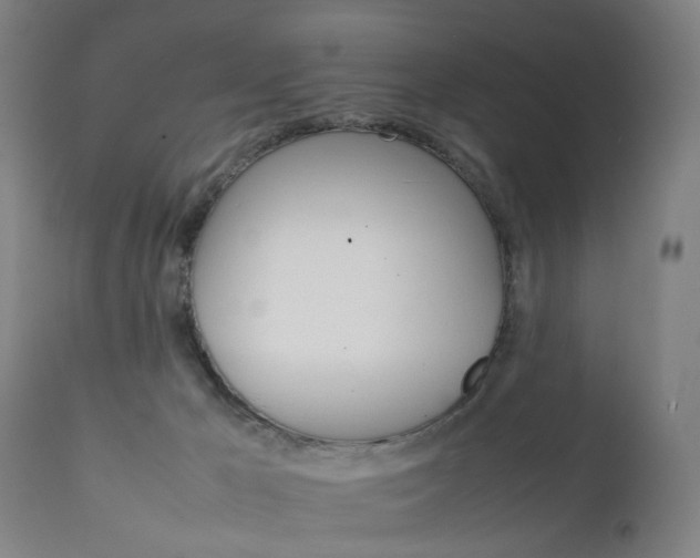 X0000111230029200907091346