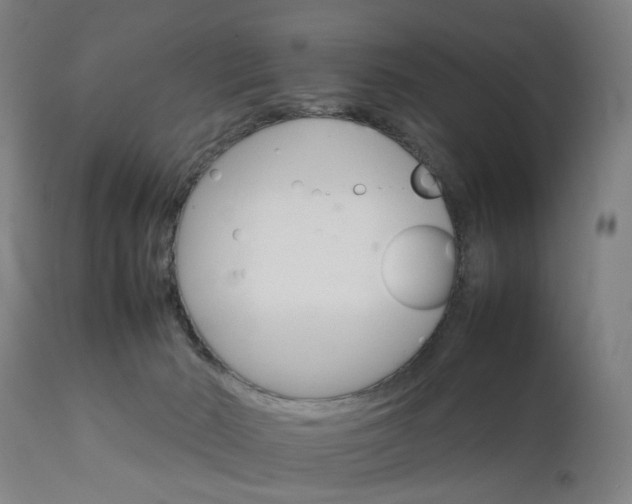 X0000111230030200907091346