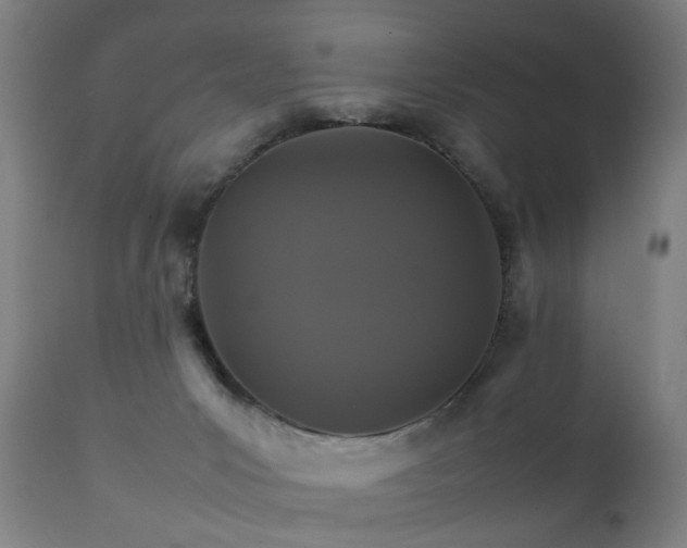X0000111230031200907091346