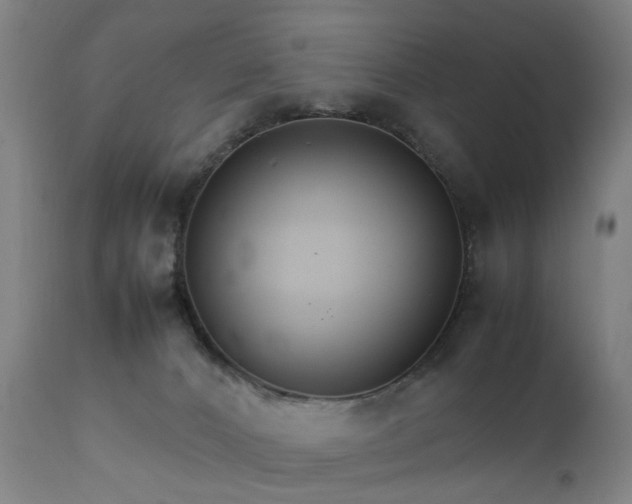 X0000111230032200907091346