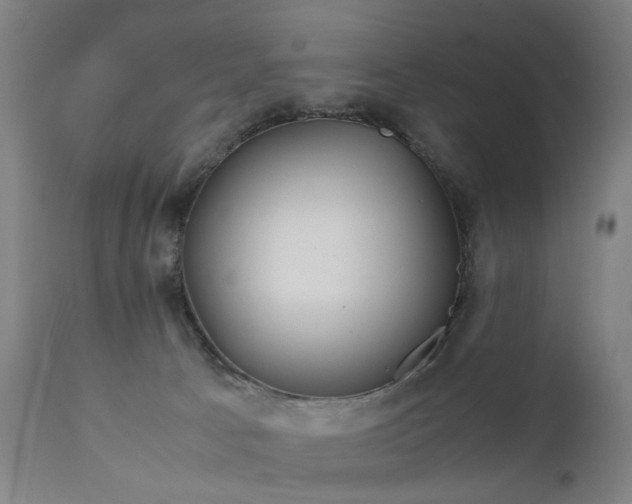 X0000111230033200907091346