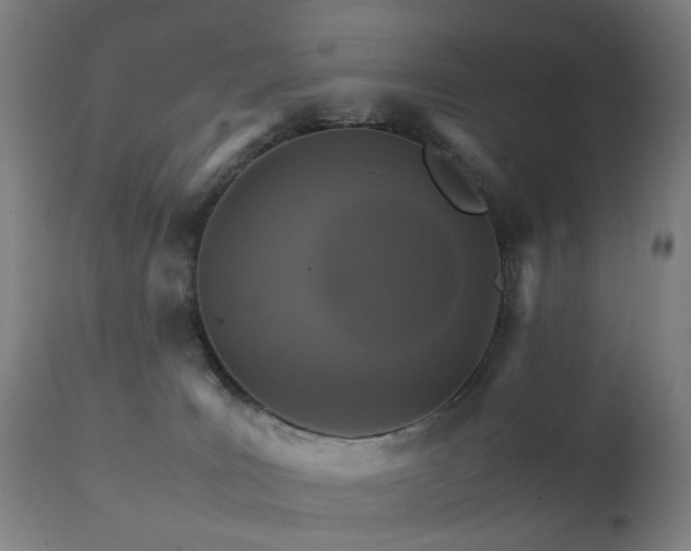 X0000111230035200907091346