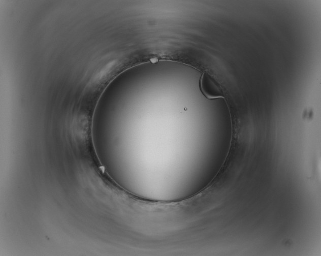 X0000111230036200907091346