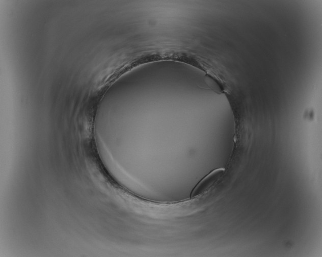 X0000111230039200907091346