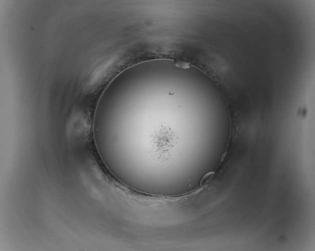 X0000111230040200907091346