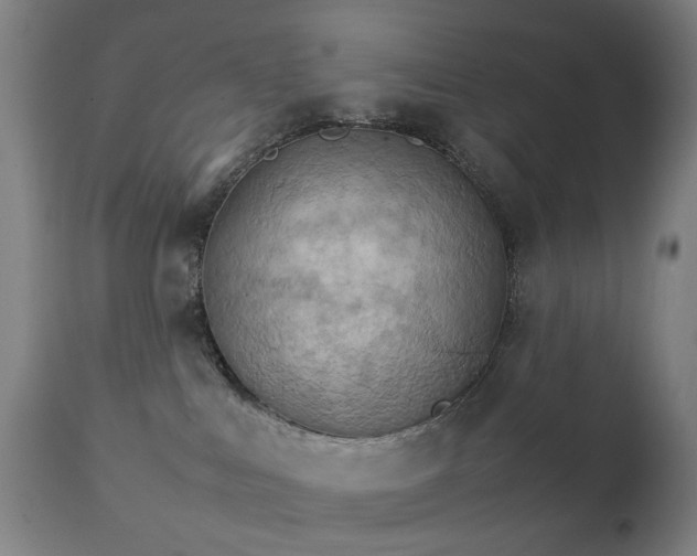 X0000111230043200907091346