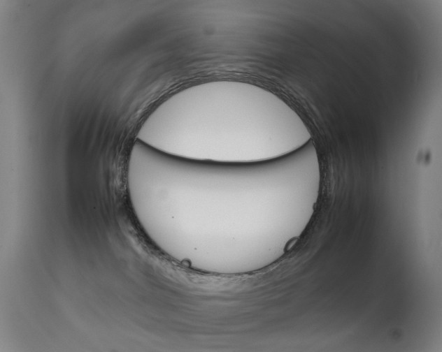 X0000111230044200907091346