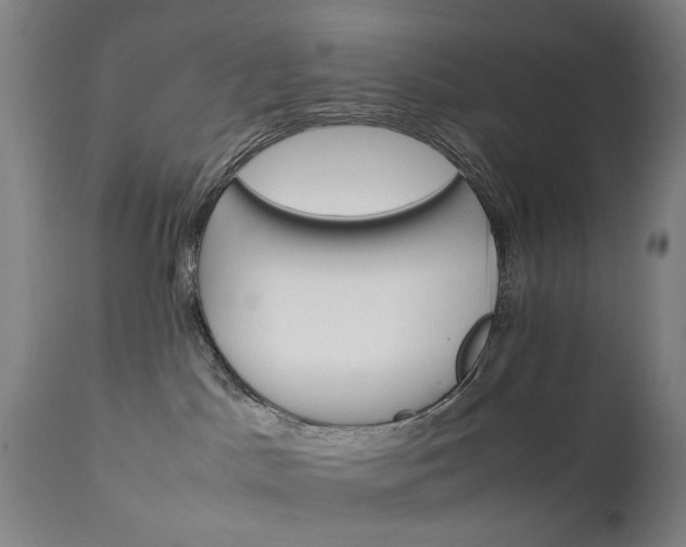 X0000111230045200907091346
