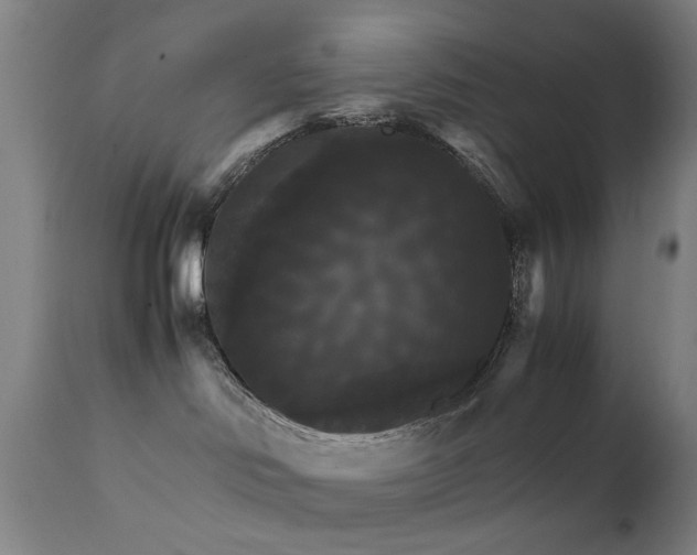 X0000111230046200907091346