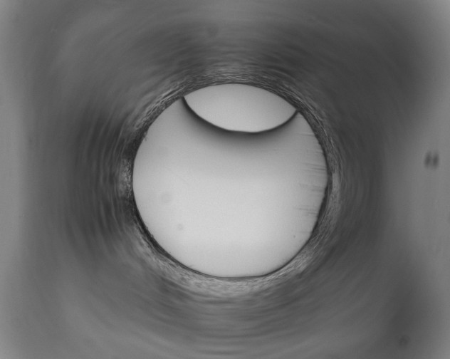 X0000111230048200907091346