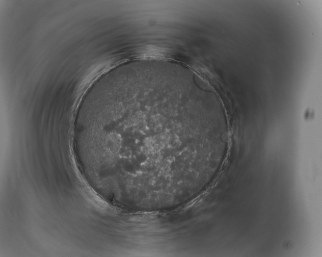 X0000111230049200907091345