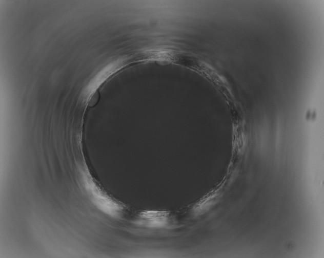 X0000111230051200907091345