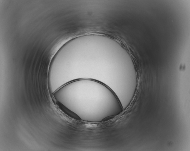 X0000111230052200907091345
