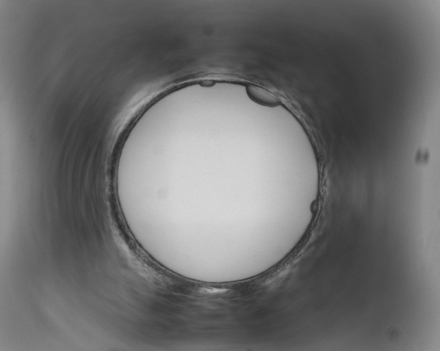 X0000111230055200907091345