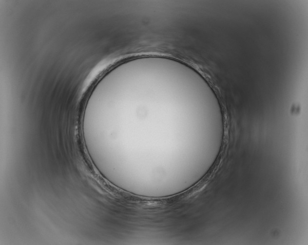 X0000111230056200907091345