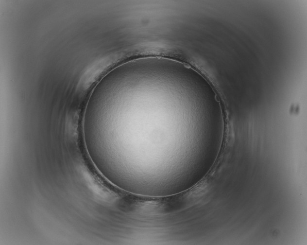 X0000111230058200907091345
