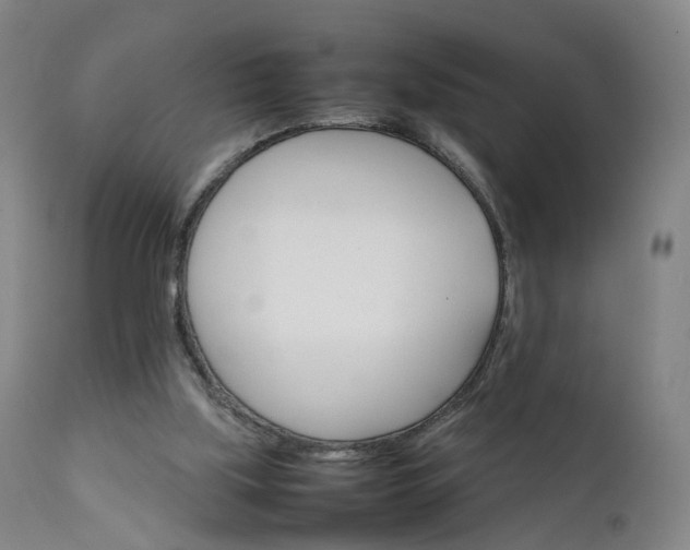X0000111230059200907091345