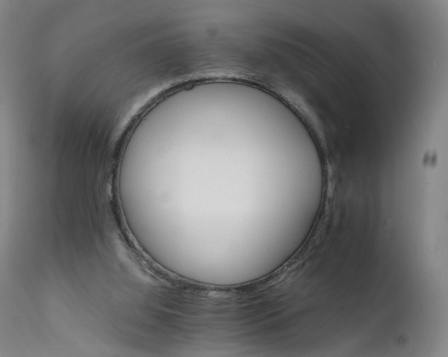 X0000111230060200907091345