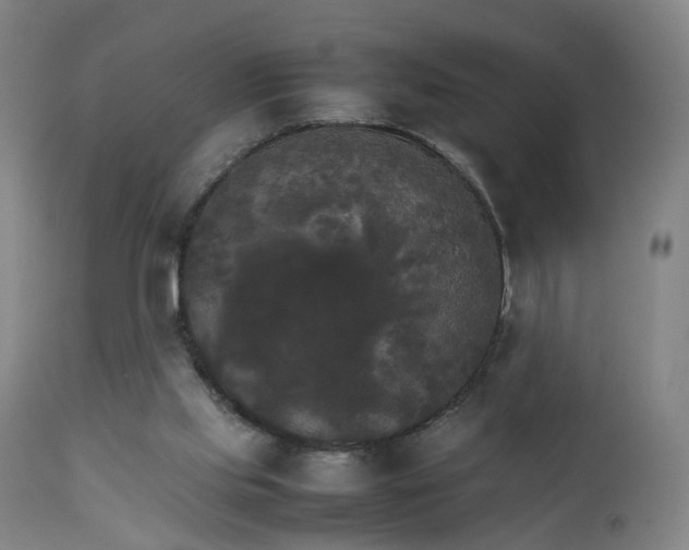X0000111230061200907091345