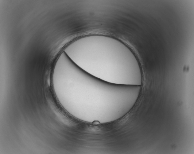 X0000111230062200907091345