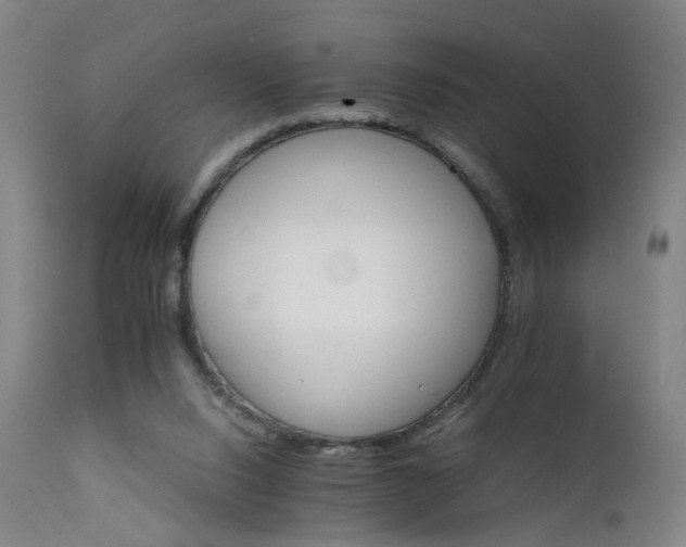 X0000111230064200907091345
