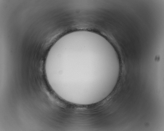 X0000111230066200907091345