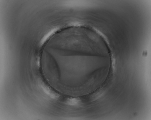 X0000111230067200907091345