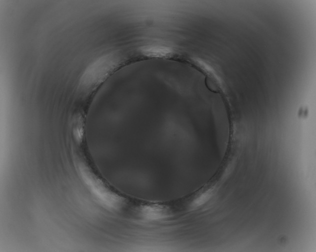 X0000111230069200907091345