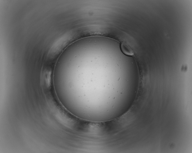 X0000111230070200907091345