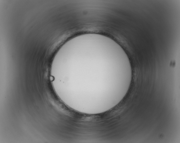 X0000111230072200907091345
