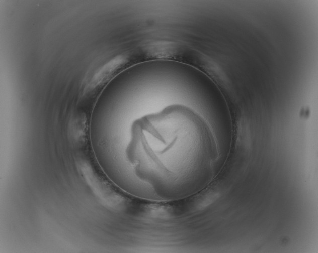 X0000111230073200907091345