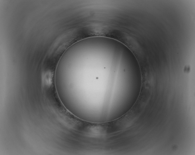X0000111230075200907091345