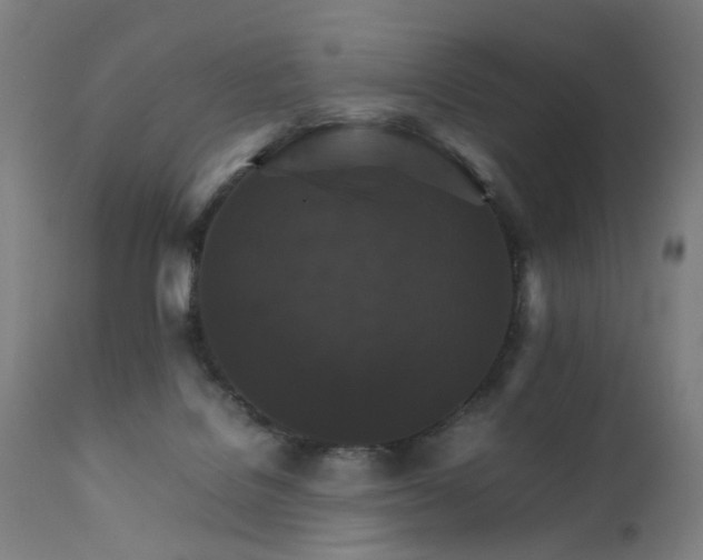 X0000111230076200907091345