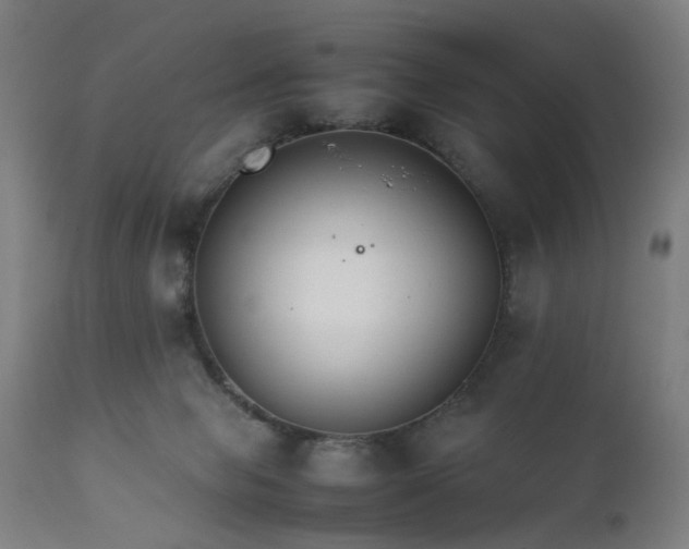 X0000111230077200907091345
