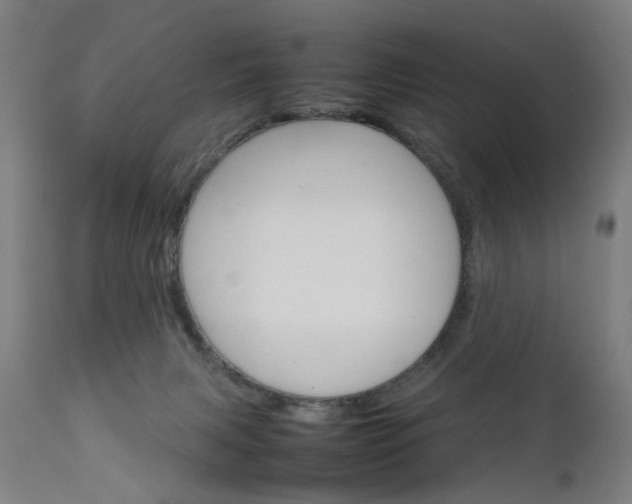 X0000111230079200907091345