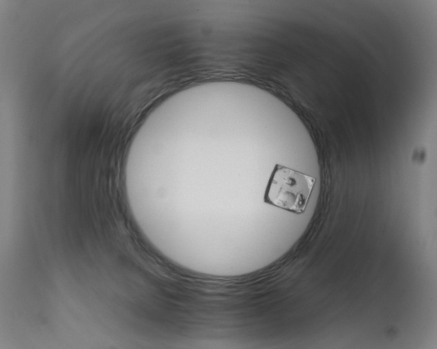 X0000111230080200907091345