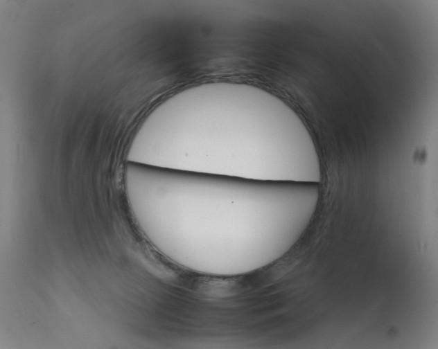 X0000111230081200907091345