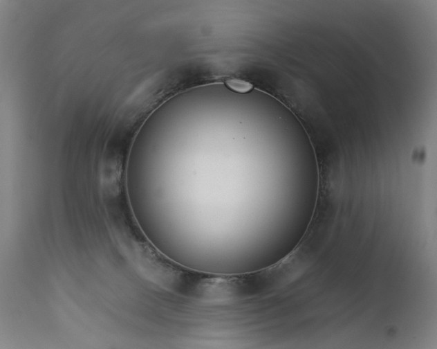 X0000111230082200907091345
